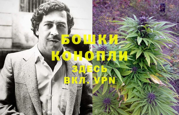 трава Арсеньев