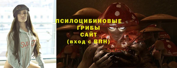 индика Балабаново