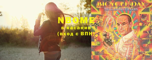индика Балабаново