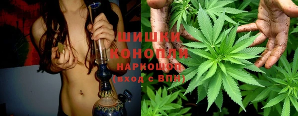 индика Балабаново